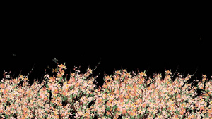 透明通道水墨手绘花朵视频素材30秒视频