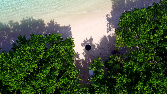 以浅水和浅沙底浅水为生的外来海湾海滩生活方式的无人驾驶视频