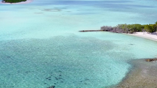 通过蓝色海洋和白色沙沙底背景观测热带旅游海滩野生生物视频