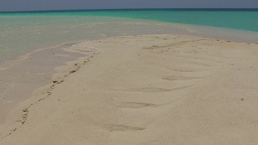 蓝海和白沙背景海滨野生生物的海滨海滩风景无人驾驶飞机视频