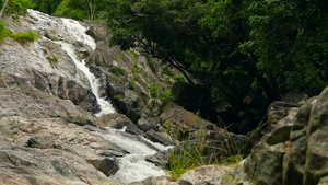 山区河流在雨林中流动无尽的冥想视频在热带异国丛林中11秒视频