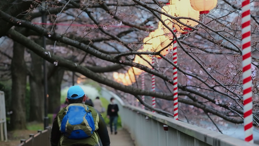 日光节的日本东京灯笼视频