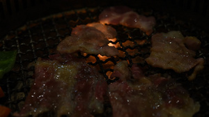 烤生肉烧烤在华玉烤炉上11秒视频