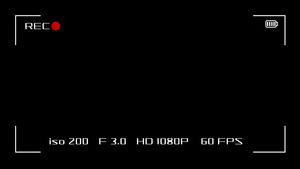 相机屏幕绿色屏幕叠加闪烁的红点10秒视频