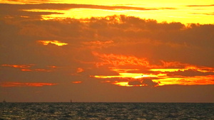 日落的橙红色天空和红云在海上飘扬鸟儿飞回家11秒视频