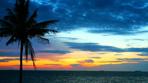 海边和天空上的彩虹云双月光的椰子日落12秒视频