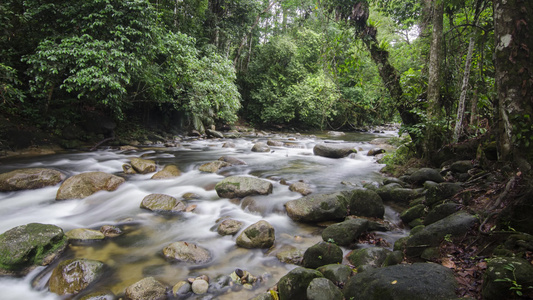 河水流在石块之间流淌在桑加伊的Sedimkulim视频