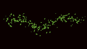 叶子飘散11秒视频