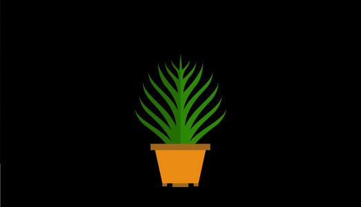 mg动态尖页藤条盆栽生长视频素材视频