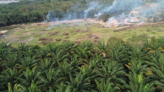 清理土地时打开燃烧视频