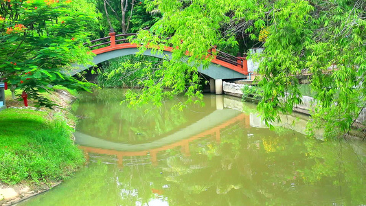 在公园湖面的湖面和在水上竹子枝上的湖泊反射桥视频
