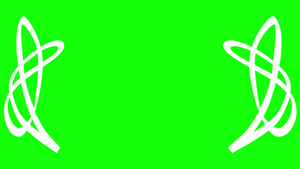 月桂叶抽象笔画绿幕21秒视频