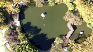俯拍云南昆明翠湖公园17秒视频