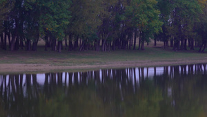 在一个小湖的水中树的反射30秒视频
