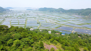 渔业大闸蟹龙虾淡水鱼养殖基地4K航拍87秒视频