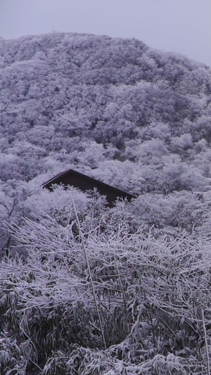 金佛雪山小镇美丽雪地景色金佛山雪山小镇30秒视频