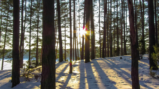 冬季森林和太阳4千个时差视频