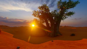 日落时非洲沙漠中的一棵芭巴树23秒视频