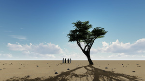 阿拉伯夫妇在沙漠中靠近一棵树18秒视频