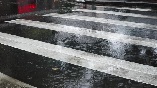 谷雨雨水城市斑马线视频