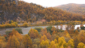 秋季的阿尔山自然风景16秒视频