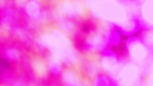在花园的花树上粉红色粉红抽象抽象模糊的彩色白叶13秒视频