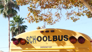 黄色标志性校车在美国加利福尼亚州洛杉矶10秒视频