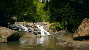 雨林和河流的景象与岩石深热带森林丛林12秒视频