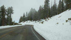 冬季森林中的雪雾驾驶汽车美国犹他州冬季公路旅行针叶21秒视频