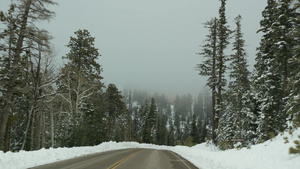 冬季森林中驾驶汽车11秒视频