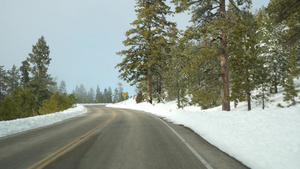 冬天森林里的雪驾驶汽车美国犹他州冬天的公路旅行针叶16秒视频