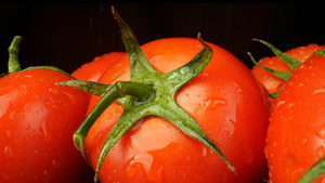 4K西红柿微距番茄水果天然绿色有机蔬菜17秒视频