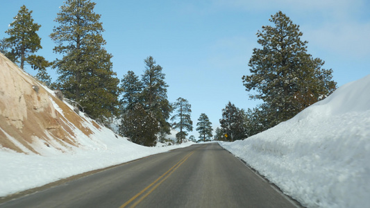 冬天森林里的雪驾驶汽车美国犹他州冬天的公路旅行针叶视频