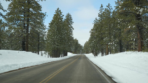 冬天森美国犹他州林里的公路旅行28秒视频