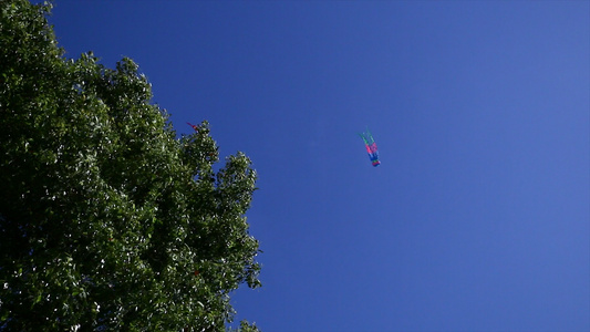蓝天公园里风筝飞翔4K实拍素材视频