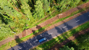 驾驶汽车沿着高速公路在密集的森林中空中无人机看到9秒视频