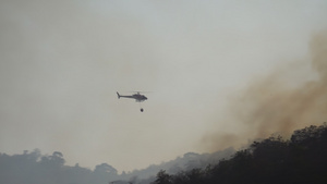 直升机在森林纵火时向森林浇水19秒视频