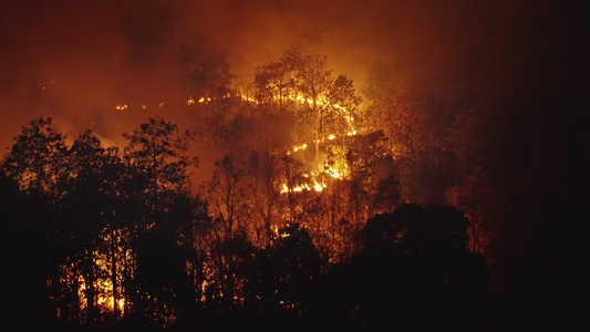 人类正在引发森林火灾造成大雨火灾视频