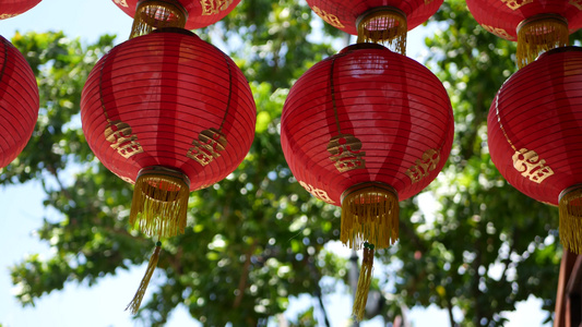 破旧建筑上的纸灯笼在东方国家多汁的绿色植物之间阳光明媚视频