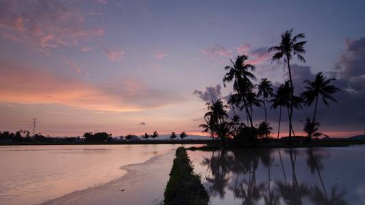 椰子农场的日落时间视频