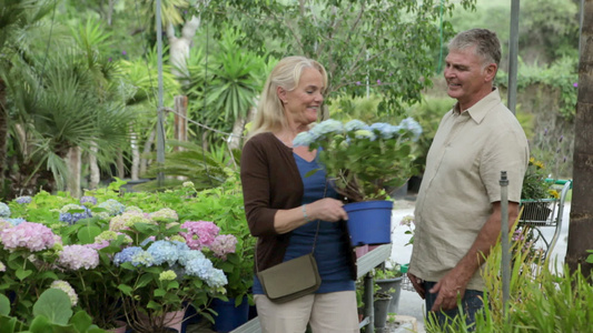 成年夫妇在花园中心挑选植物，女人把它们交给丈夫视频