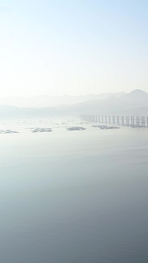 深圳湾公路大桥航拍连接港深的大桥23秒视频