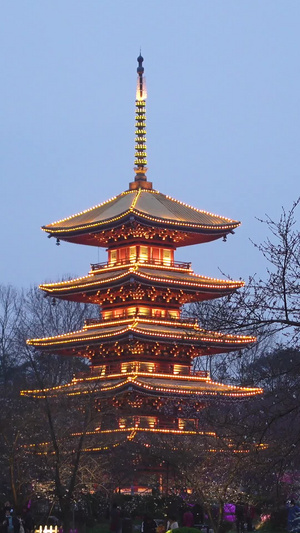 武汉东湖樱花园日本建筑五重塔夜景樱花素材樱花季60秒视频