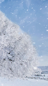 冬季雪景视频素材唯美风景雪视频