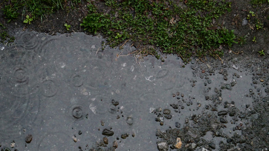 水坑中的雨滴视频