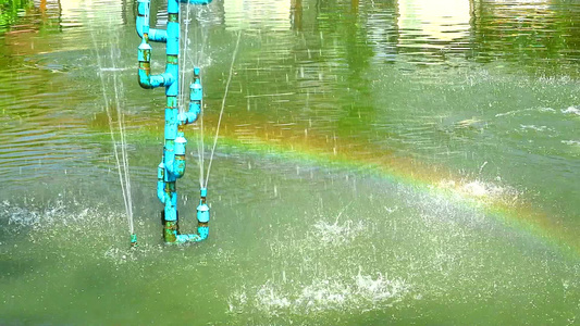 池塘中的喷泉管和水面上的彩虹视频