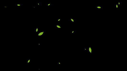 4K透明通道树叶飘落视频素材视频