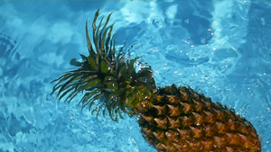 漂浮在游泳池的蓝色水中的菠萝健康生有机食品多汁的水果19秒视频