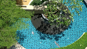 夏季热带花园的户外游泳池和喷泉60秒视频