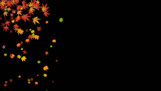 秋天立秋树叶红黄枫叶飘落动画视频